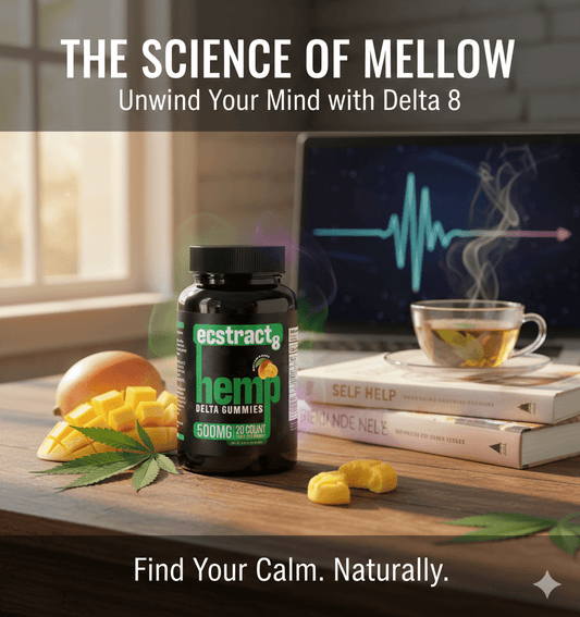 Hit the Pause Button: Why Mellow Mango is Our New Evening Ritual - ecstract 8